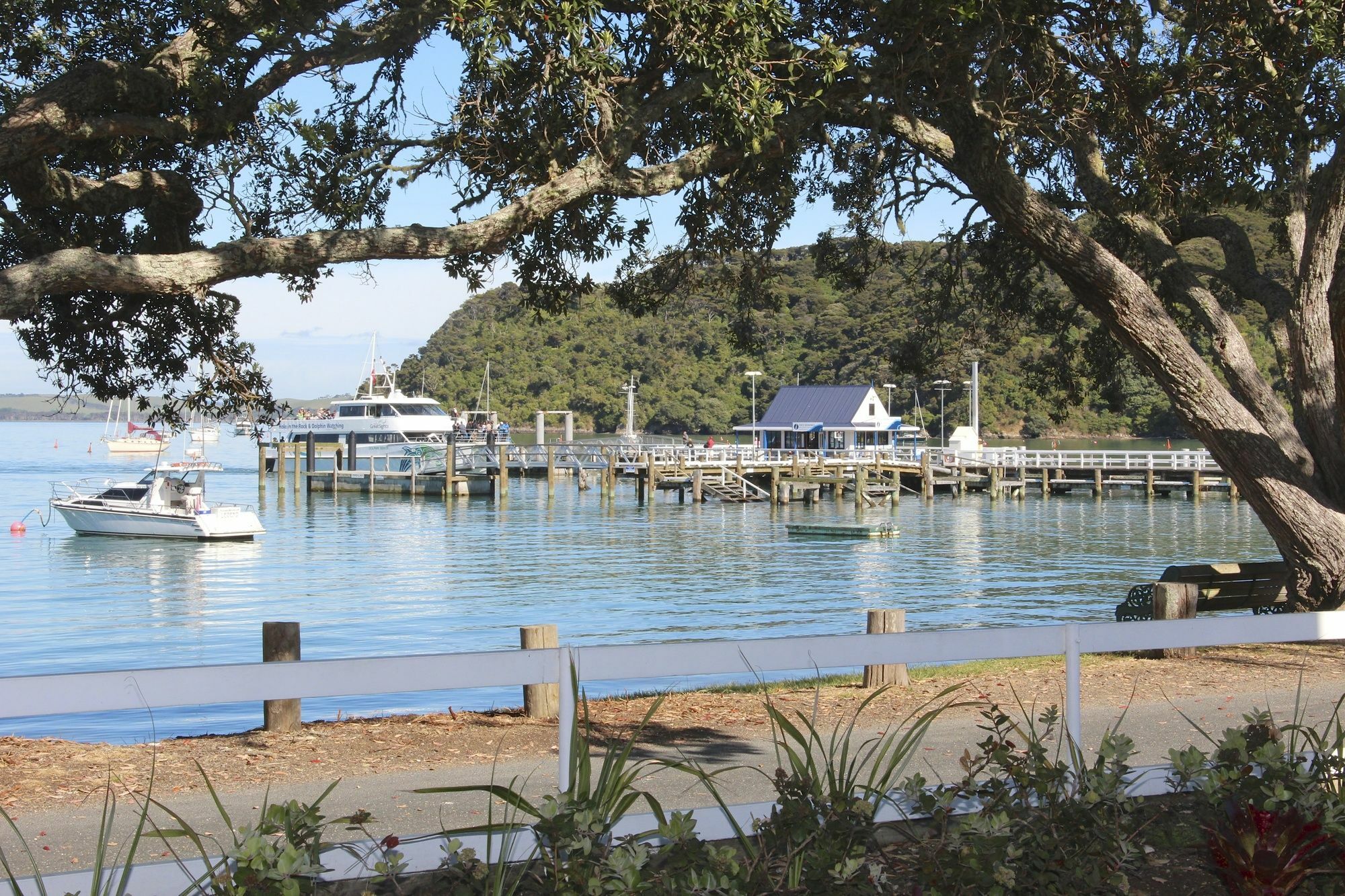 Hananui And Aparthotel Russell